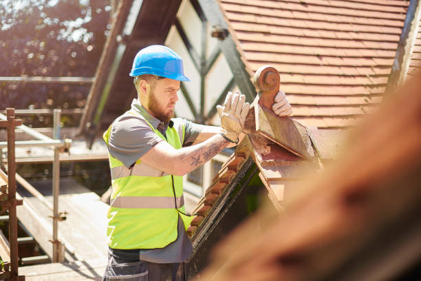 Roof Gutter Cleaning in Elmira Heights, NY